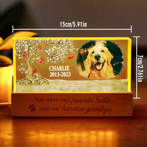 Personalized Pet Photo Night Light Custom Photo Light Memorial Gift for Pet Lover