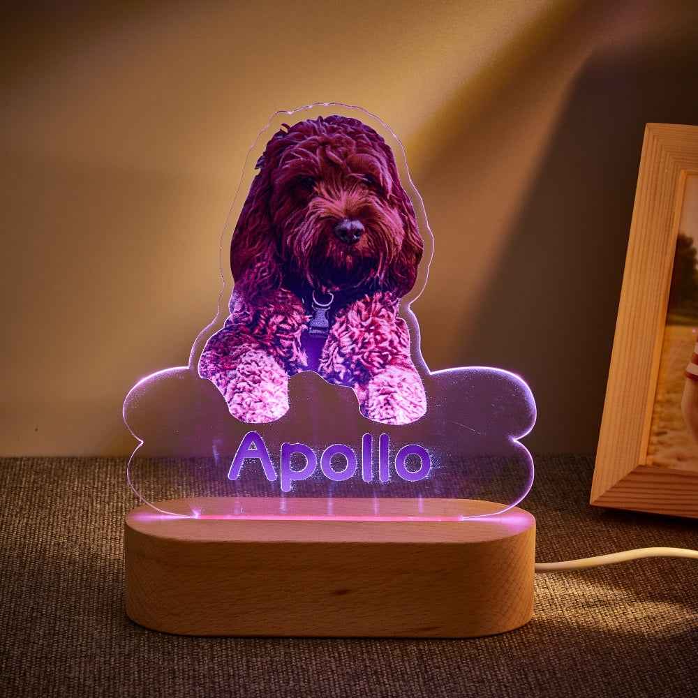 Personalized Pet Shaped LED Night Light Custom Dog Name Table Lamp