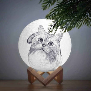 Photo Moon Lamp, Custom 3D Photo Light, Cute Pet - Remote Control Sixteen Colors 10-20cm