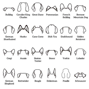 Custom Dog Ear Sweatshirt Personalized Embroider Dog Hoodie Gift for Dog Lovers